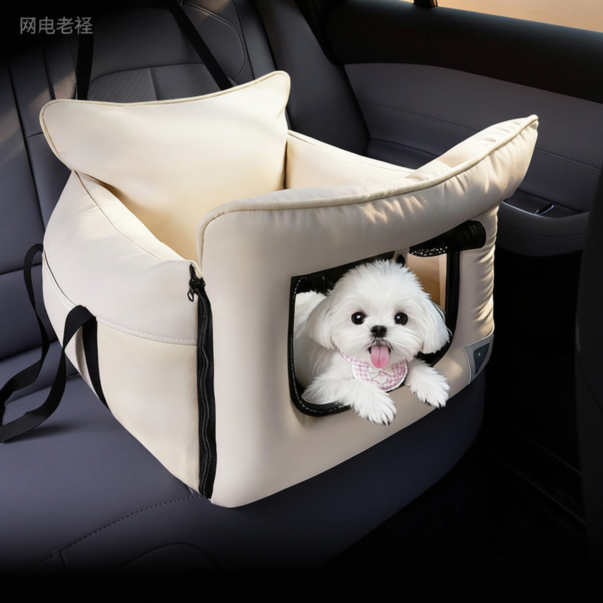 Scratch-Resistant Travel Tote with Safety Leash, Stable Passenger Booster Bag for Small Pets